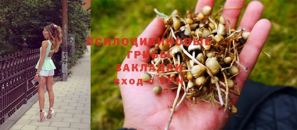 соль курить ск Алексин