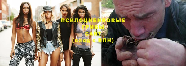 бошки Алексеевка